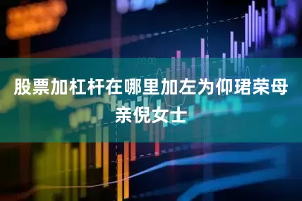 股票加杠杆在哪里加左为仰珺荣母亲倪女士