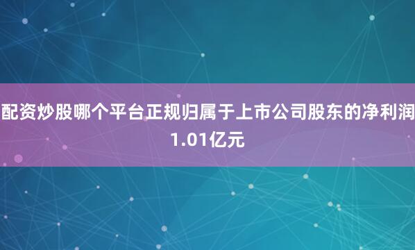 配资炒股哪个平台正规归属于上市公司股东的净利润1.01亿元